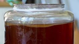 Home Kombucha Brewing