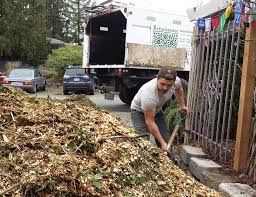Tips to get Free Wood Chips