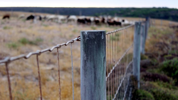 Tips for Stretching Wire Fence