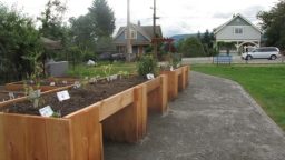 Creating An Accessible Garden