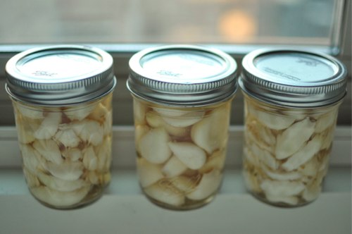 Easy Pickled Garlic