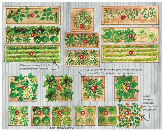 container-garden-plan-jpg