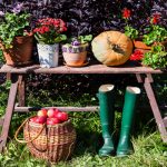 Tips for Fall Gardening