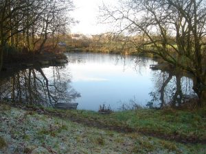 fishing_pond_at_atherton_hall_-_geograph-org-uk_-_104505