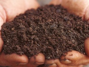rx-dk-cfp04401_loam-base-soil_s4x3-jpg-rend-hgtvcom-966-725