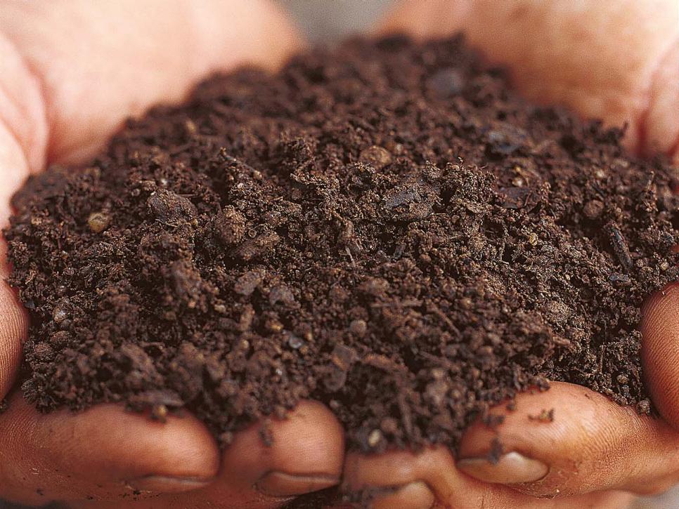Making Your Own Potting Soil