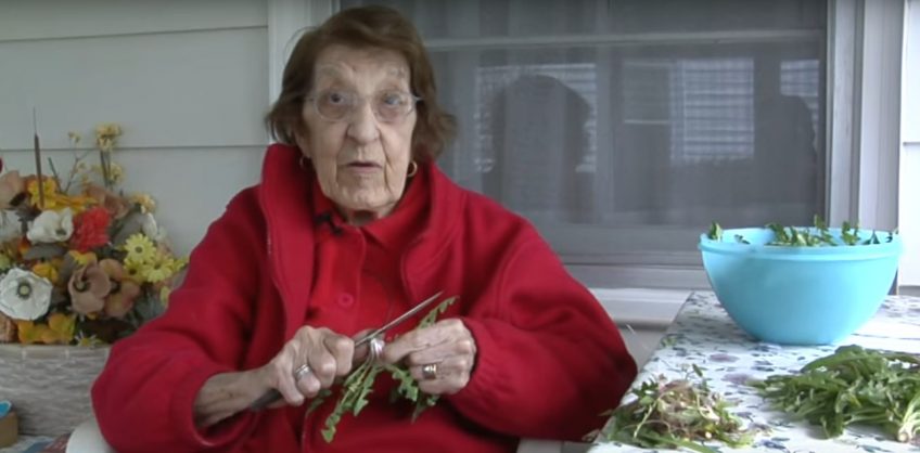 Great Depression Era Dandelion Salad (Video)