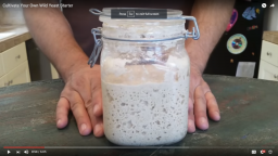 Cultivate Your Own Wild Yeast Starter (Video)