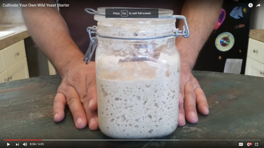 Cultivate Your Own Wild Yeast Starter (Video)