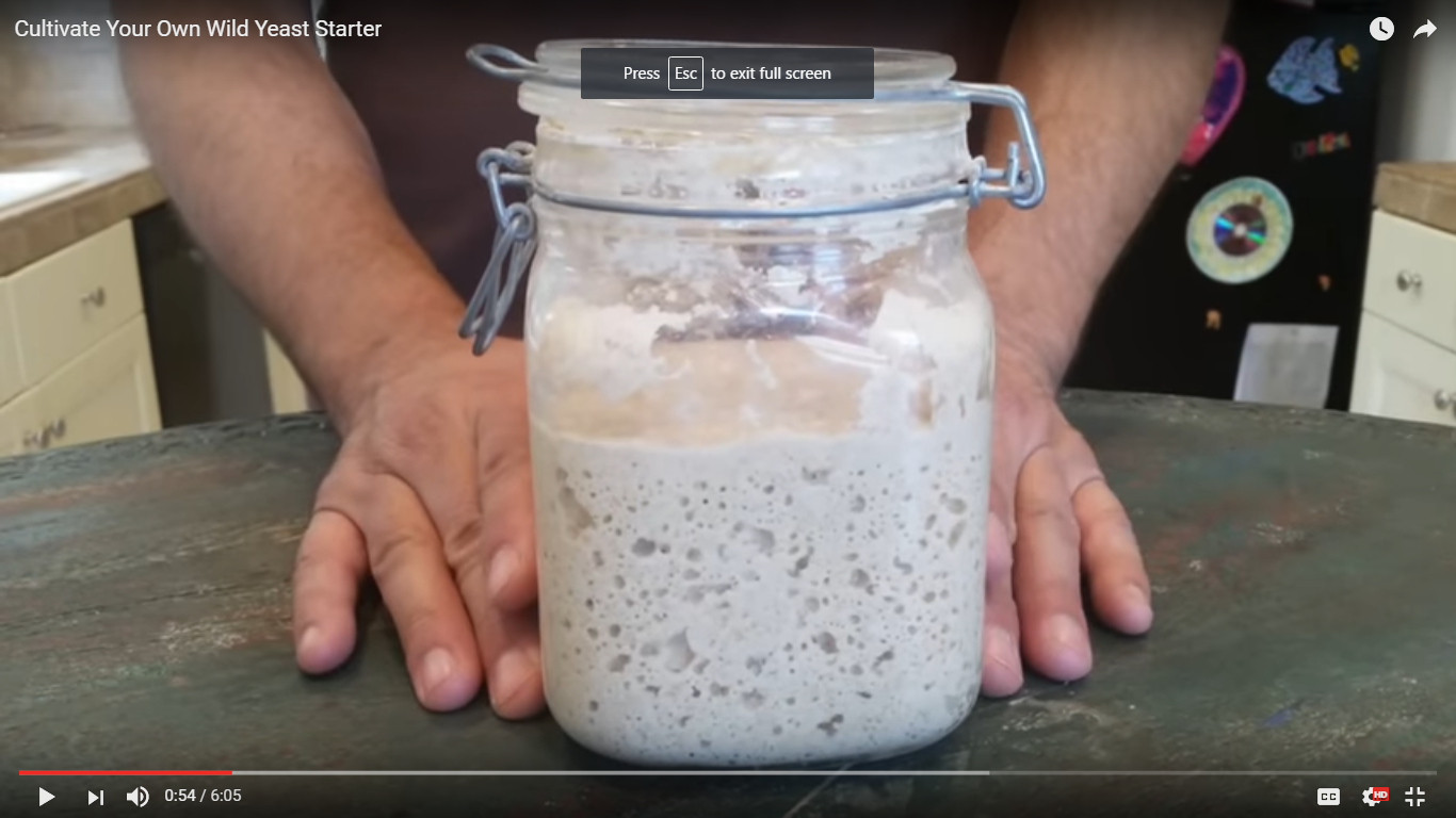 Cultivate Your Own Wild Yeast Starter (Video)