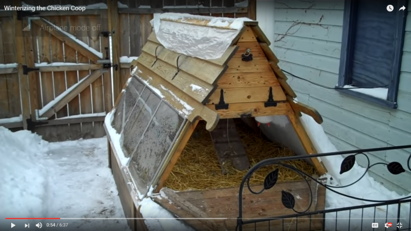 Winterizing the Chicken Coop (Video)
