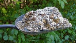Wood Ash for the Garden