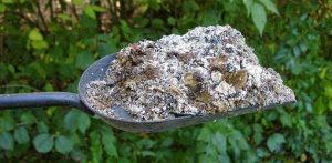 wood-ash_mini
