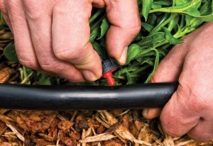 drip-irrigation-system-steps-to-install-drip-irrigation-system-ht-pg-bm-step-04
