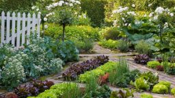 Growing An Edible Garden Landscape