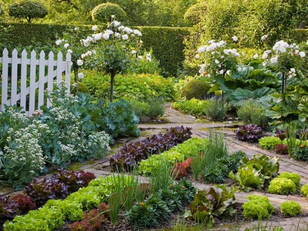 Growing An Edible Garden Landscape