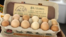 8 Simple Ways to Earn Money From Homesteading