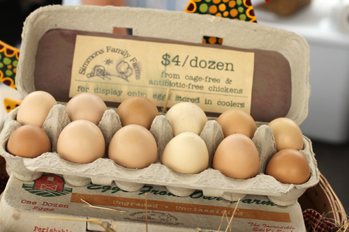 8 Simple Ways to Earn Money From Homesteading
