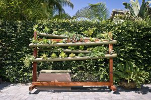 hydroponic-vertical-earth-gardens