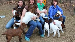 Getting the Kids Involved with Homesteading