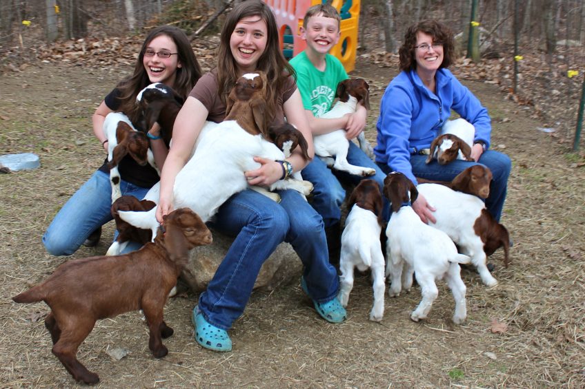 Getting the Kids Involved with Homesteading