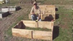 Raised Beds from Pallets