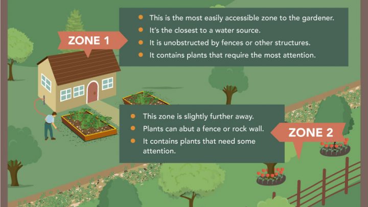 First-Time Permaculture (Infographic)