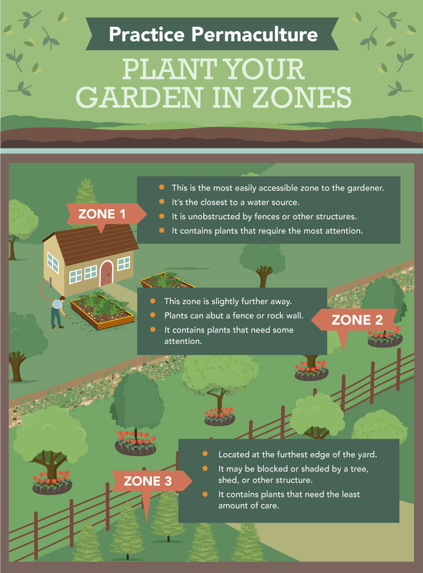 First-Time Permaculture (Infographic)