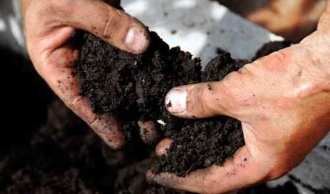 Tips to Help You Improve Your Soil