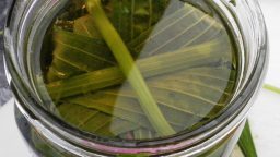 Easy Poison Ivy Remedy