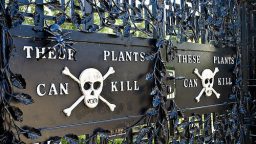 Keeping Toxins Out of the Garden
