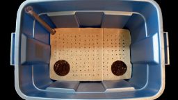 DIY Budget Grow Box