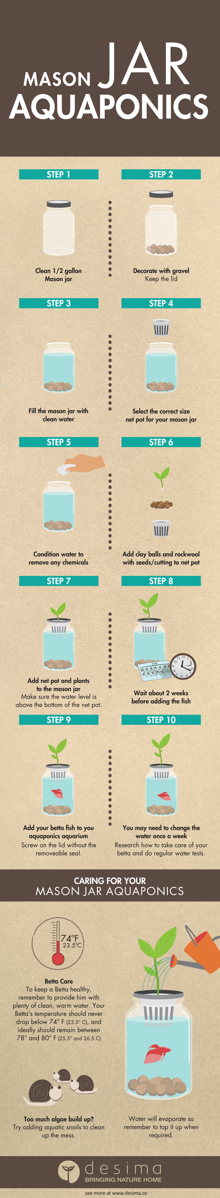 Mason Jar Aquaponics (Infographic)