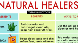 Food for Healing (Inforgraphics)