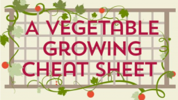 A Vegetable Growing Cheat Sheet