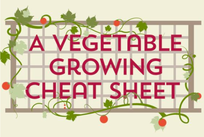 A Vegetable Growing Cheat Sheet