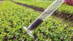 Soil Tests