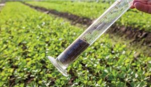 soil-test-for-beans-rwanda-credit_agra