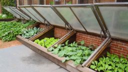 Cold Frames; How and Why