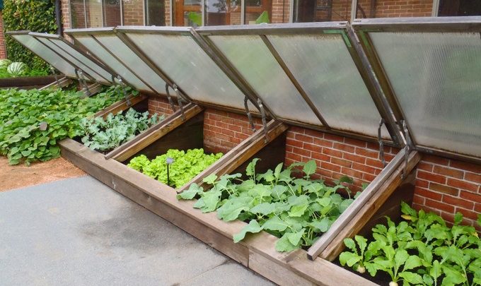 Cold Frames; How and Why