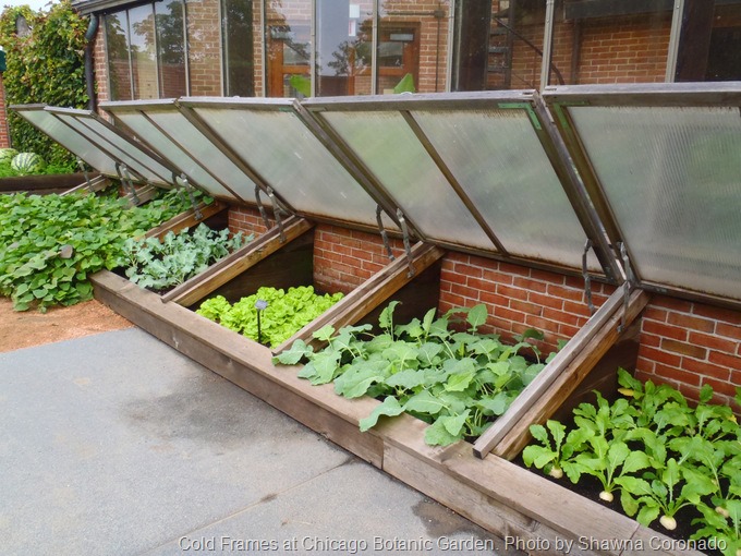 Cold Frames; How and Why
