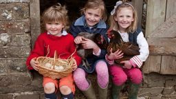 Farm Chores for Children By Age