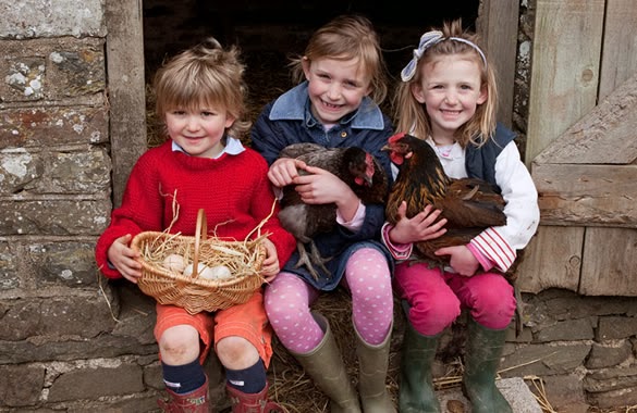 Farm Chores for Children By Age