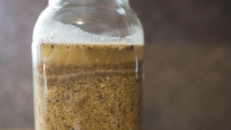 How to Make Fermented Chicken Feed