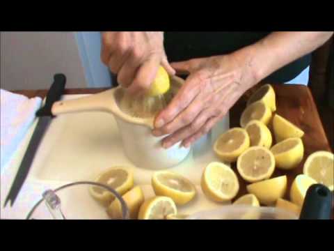 How to Freeze Lemons (Video)