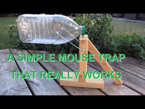 DIY Scrap Mouse Trap