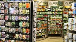 Tips for Saving Money When Purchasing Seeds