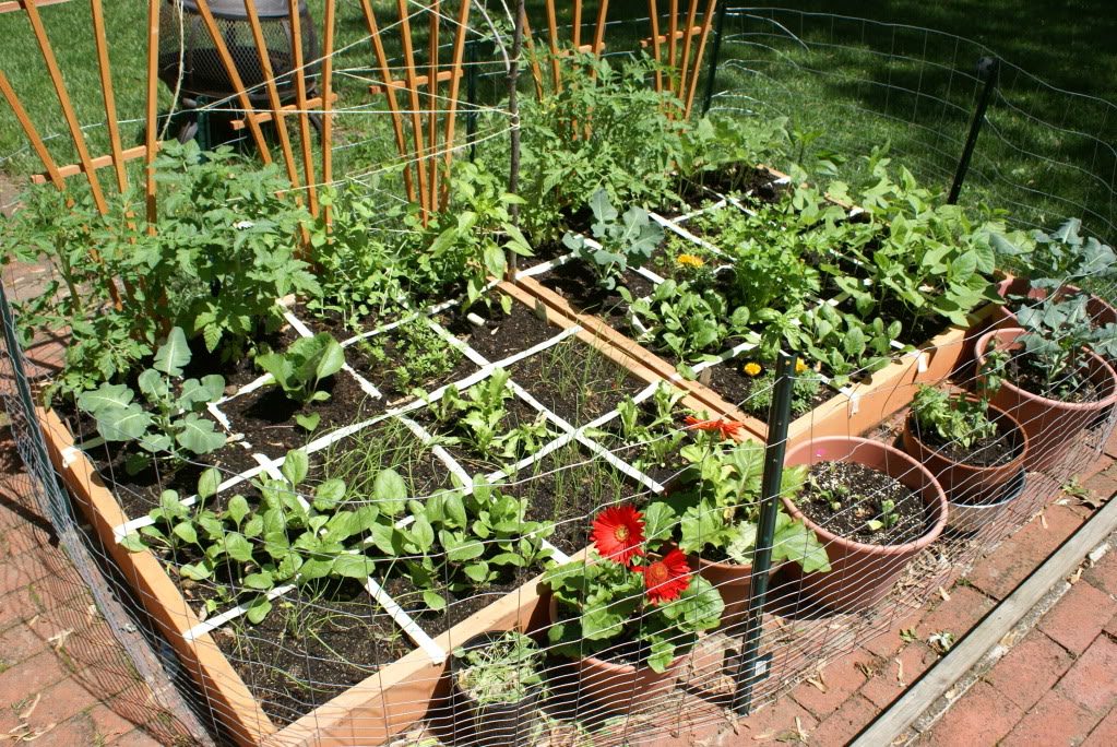 Tips to Save Money in the Garden