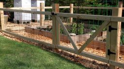 Protecting the Garden From Animals