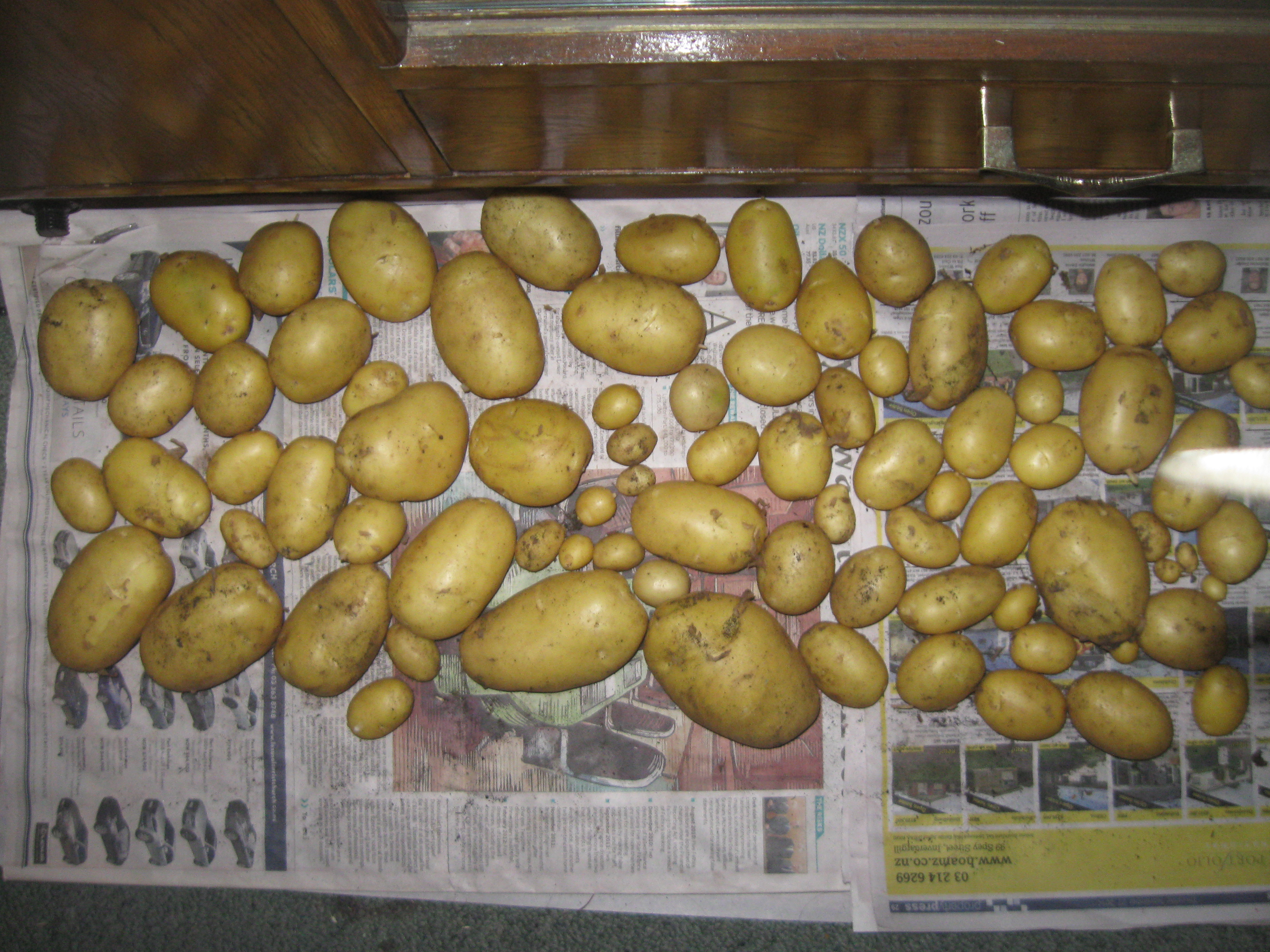 How (And Why) To Cure Potatoes Before Storing Them